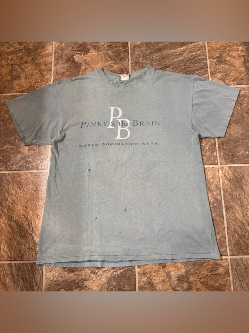 Vintage 90s Pinky & The Brain World Domination Animaniacs Men L Graphic Tee USA